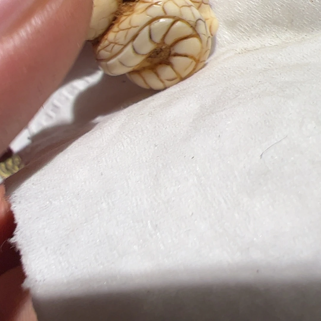 玻璃颈饰你在一起的