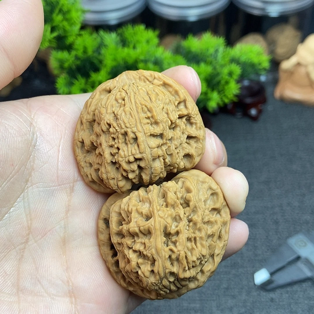 核桃南疆石43尺寸编号998