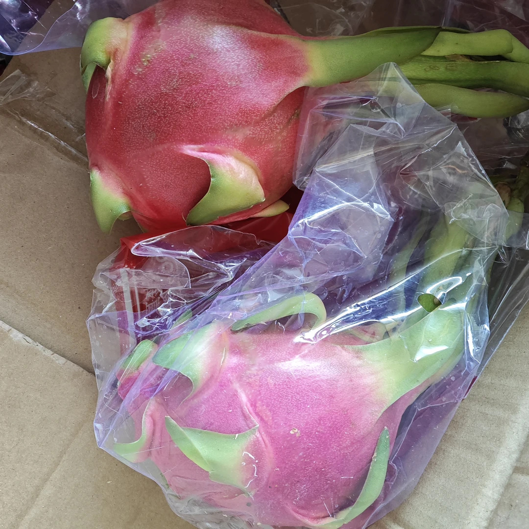 白心火龙果15元两个