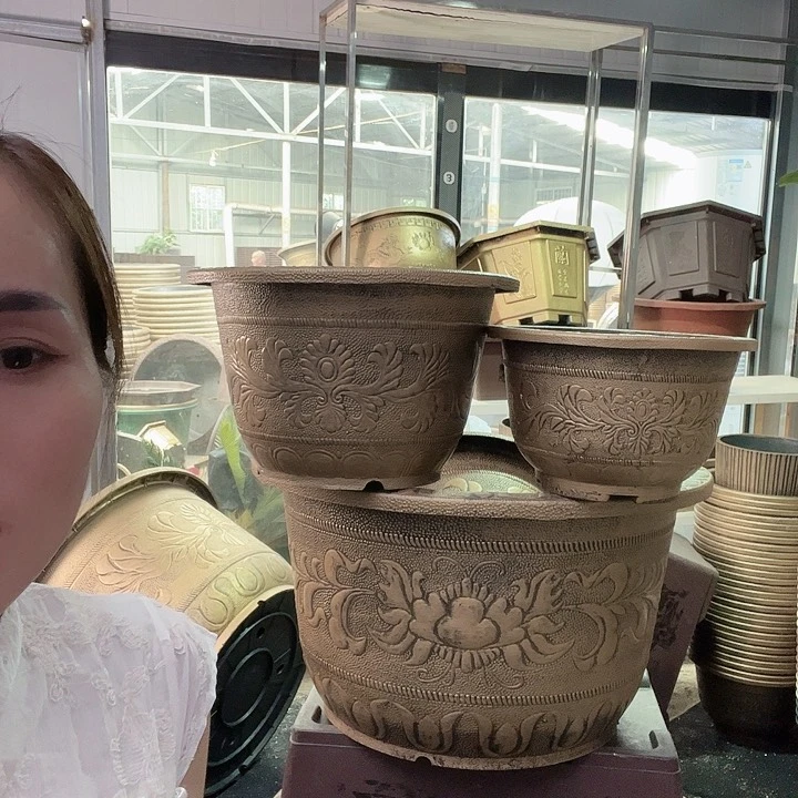 盆景7888888685888999988