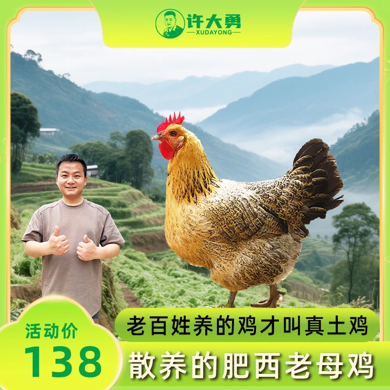 正宗肥西老母鸡 农家散养土鸡 顺丰冷链 单只装