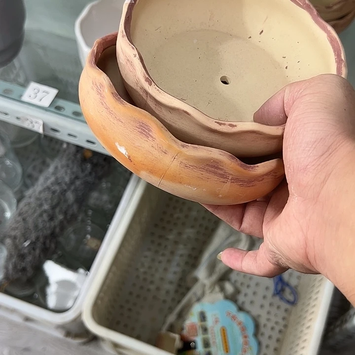 微瑕陶瓷花盆满9.9发