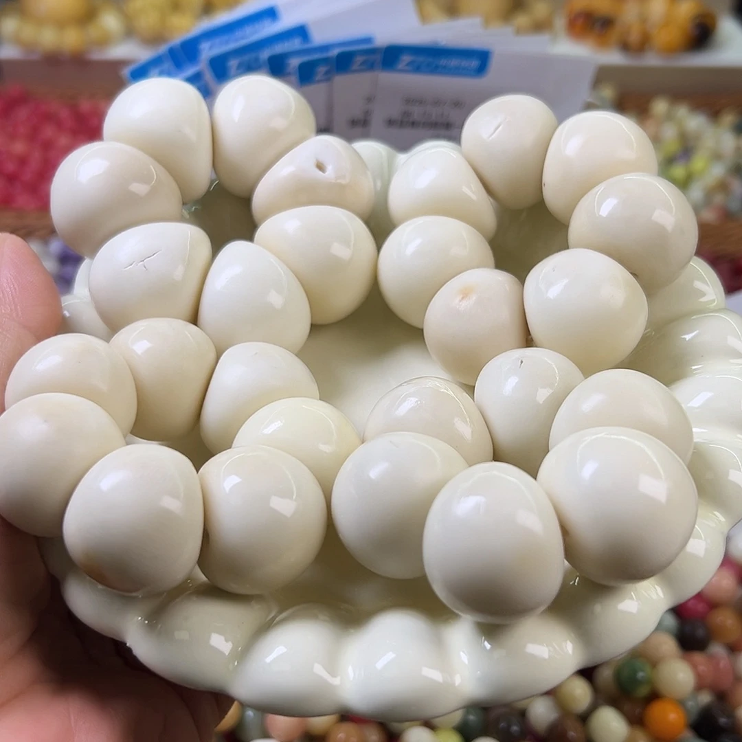 菩提根/象牙果手串瑕疵大白蒜瓣4条表面有裂