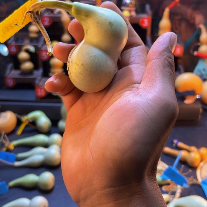 和***尘文玩葫芦的葫芦娃