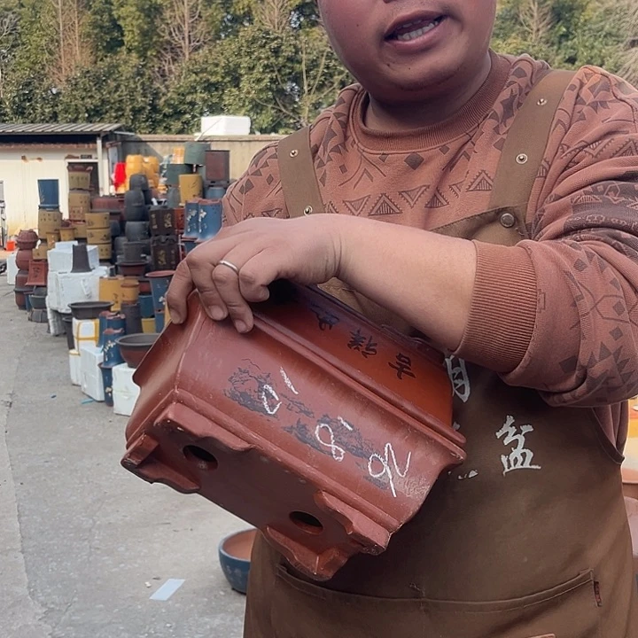 紫砂紫砂花盆盆栽