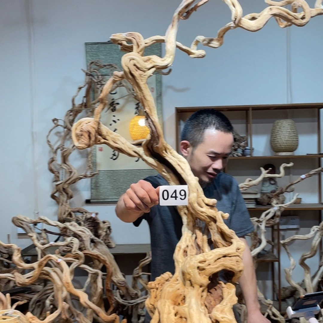 香榧木楚****美今天下午和同事出去