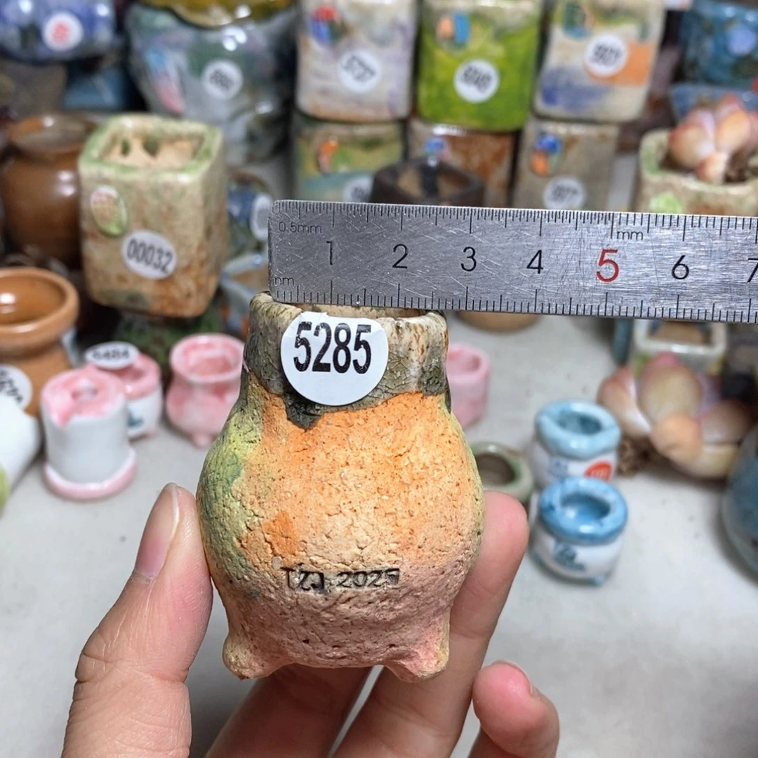 拍5送一个小礼物
