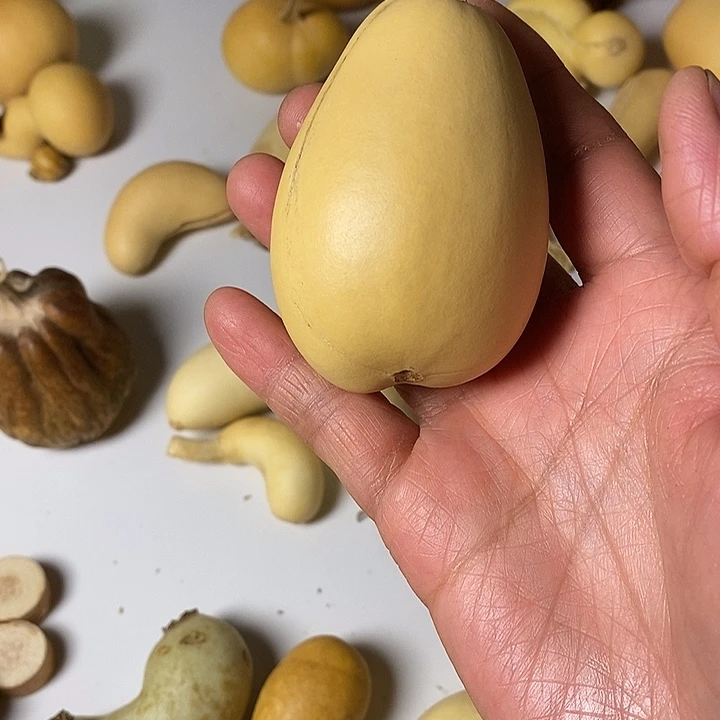 程***人大厚皮异形葫芦手把