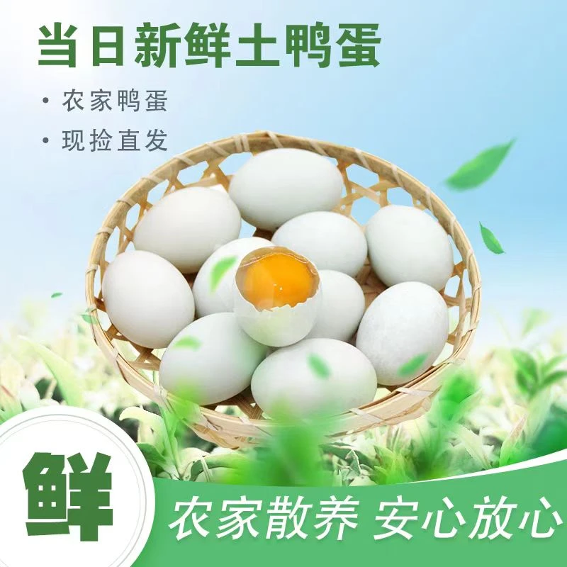 农场散养鸭蛋