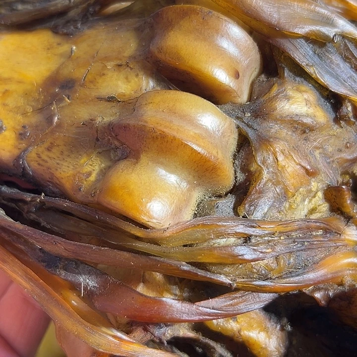 ZX整个带劲一般大