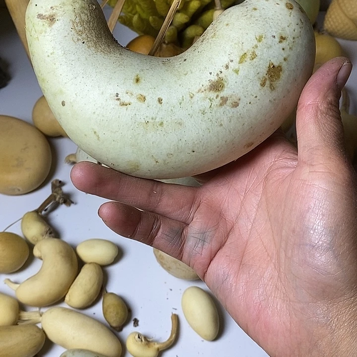 G***刻葫芦异形手把件葫芦