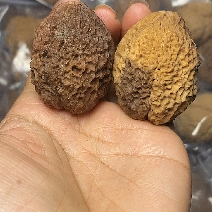 文玩核桃把件云南铁核桃33