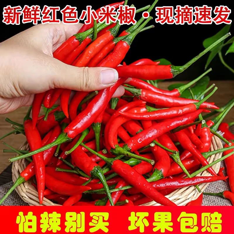 现摘新鲜小米辣特辣朝天椒农家自种当季蔬菜红辣椒