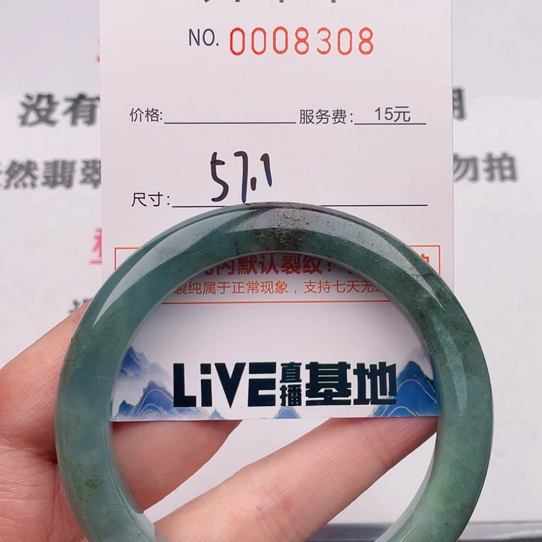 未镶嵌手镯翡翠08