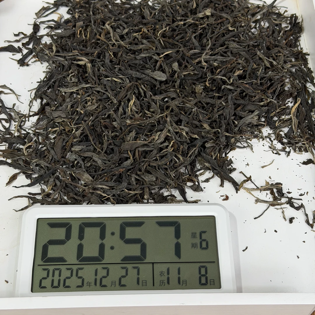 2025年 南郭 散茶 生茶【3】12-27
