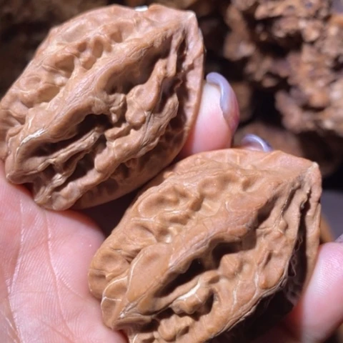 文玩核桃把件东北野生楸子小美22