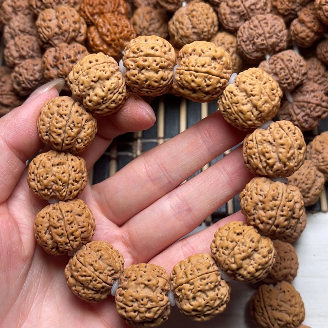 菩提13号金刚菩提双龙蜂王21