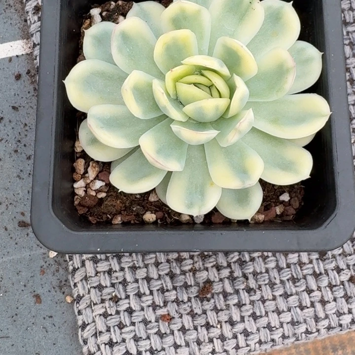 陆***熠福袋福袋福袋福袋福袋