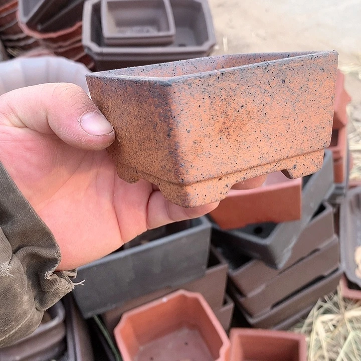 紫砂淘宝上所有优惠券是我