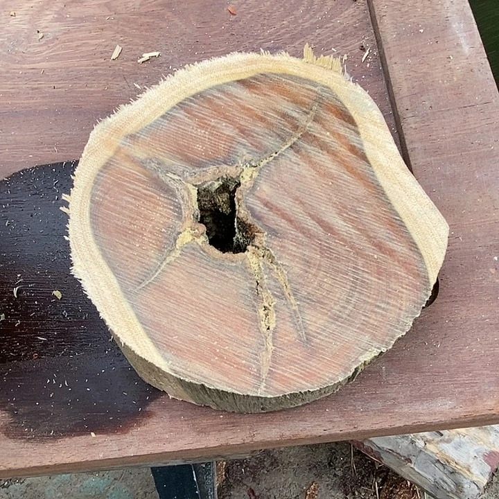 维腊木（绿檀）500 毛料毛料毛料毛料