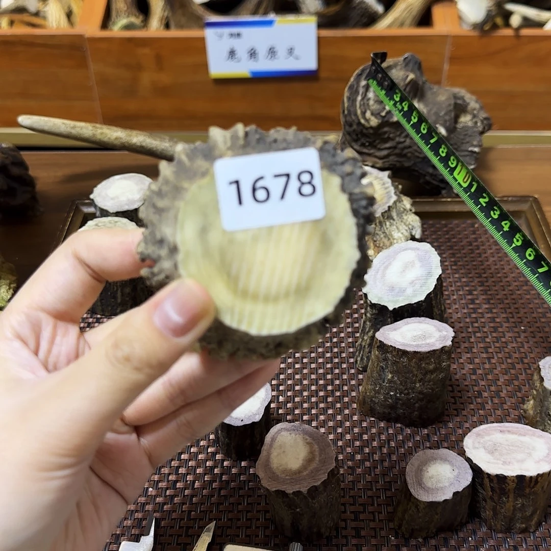 手串/手链鹿骨1678 角帽