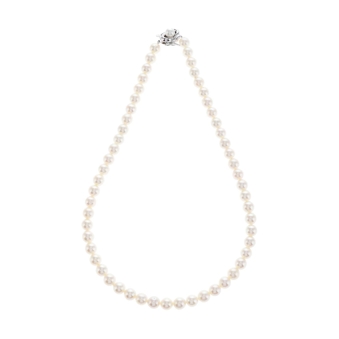 红布林/C1/塔思琦/40888072/z/121503