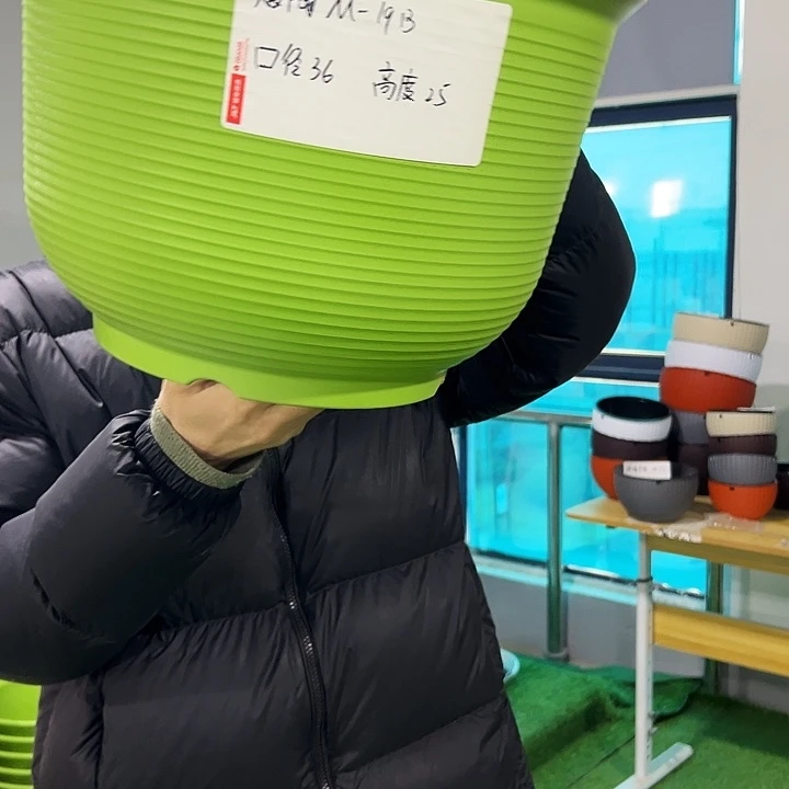 正品矮陶口36高25果绿无托3只