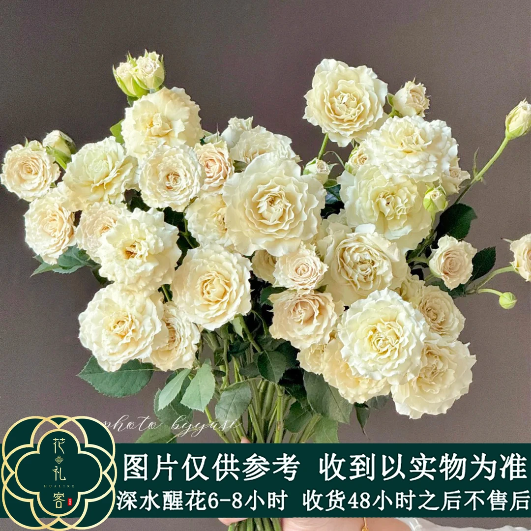 #【茶马古道】稀有小众鲜切花云南基地直采顺丰直发