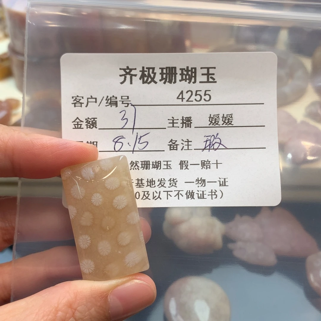 硅化珊瑚（珊瑚玉）未镶嵌颈饰夭*