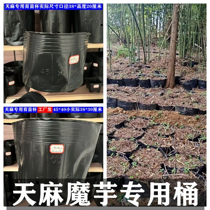 天麻桶装天麻专用营养钵育苗黑色塑料加厚大号种植袋超级菌种天麻