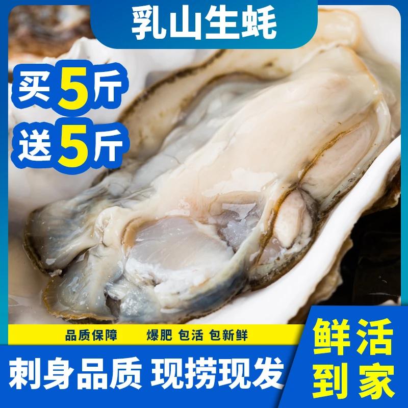 【买5斤送5斤】乳山生蚝正宗鲜活海蛎子刺身新鲜海鲜鲜活水产