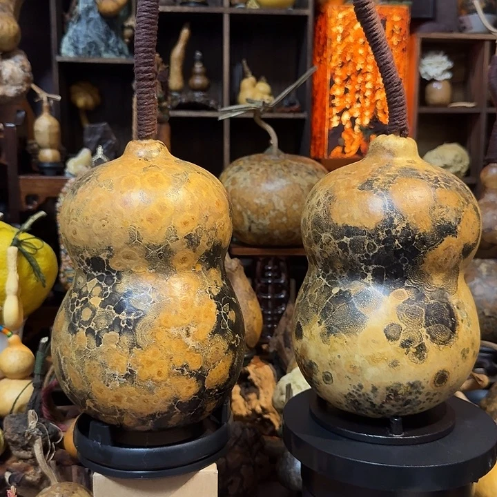 小***土大叶紫檀（黑酸枝木类）