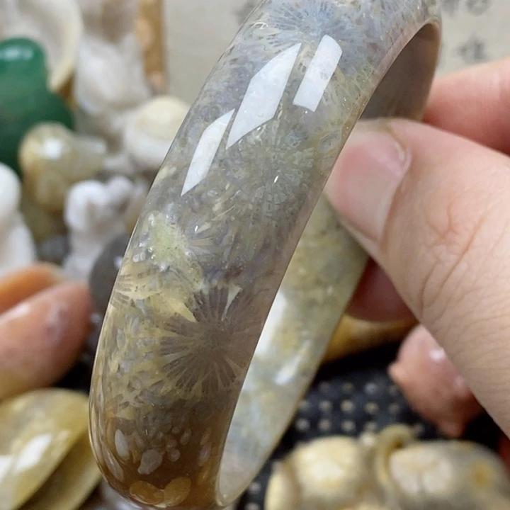 硅化珊瑚（珊瑚玉）未镶嵌颈饰