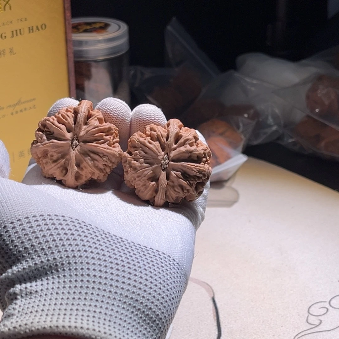 王***啃粗筋粗筋促进粗筋。