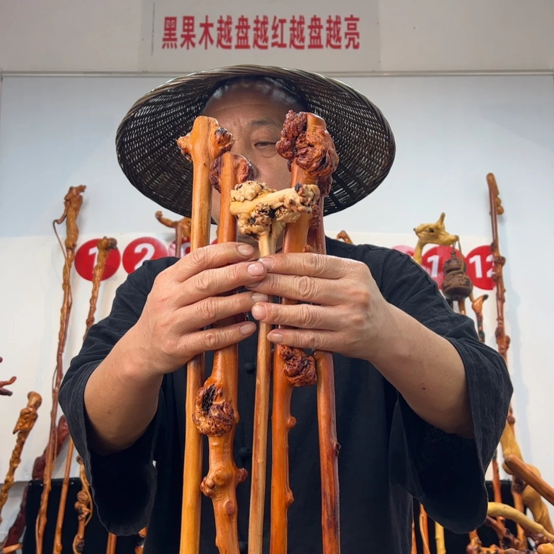 黑果木其他黑果木290
