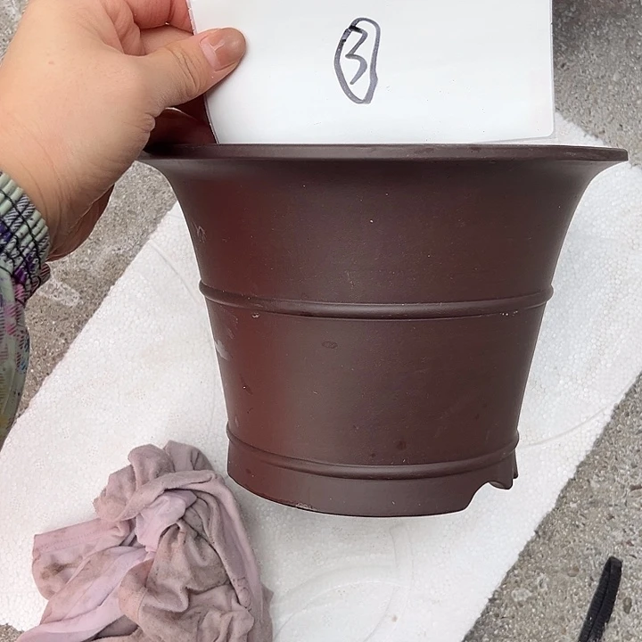 M***o其他紫砂58588888888888888