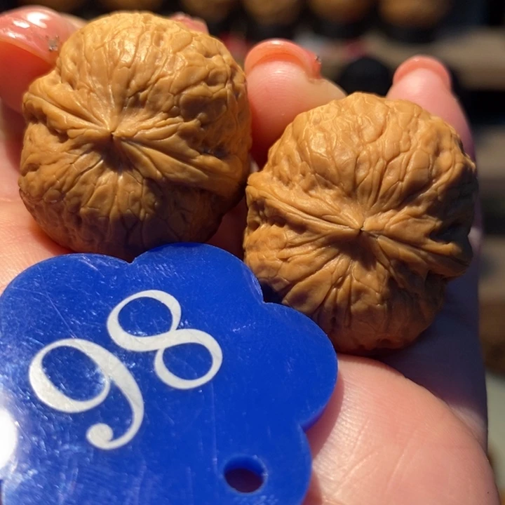 菩提籽类水晶蛇皮球29尺寸