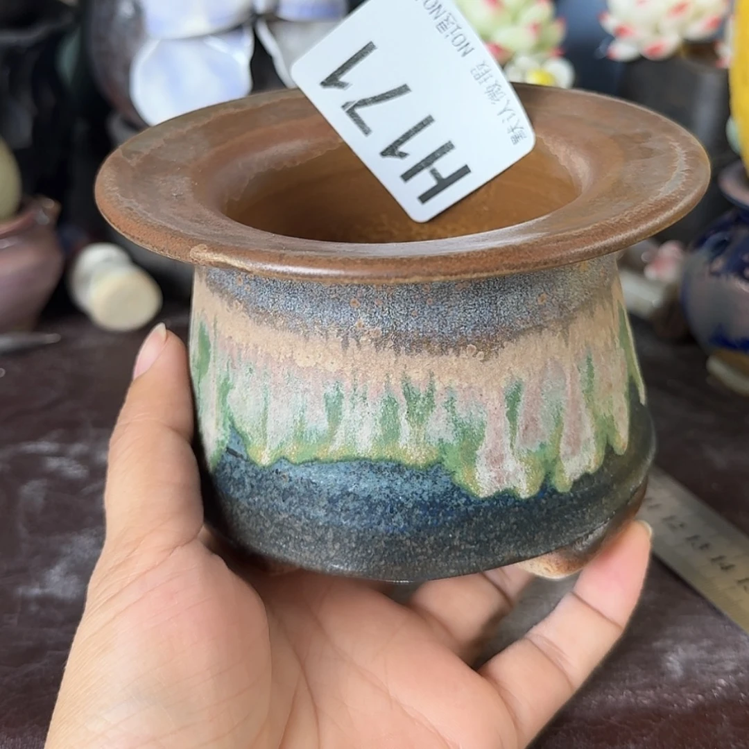 重庆小燕子欢迎大家171