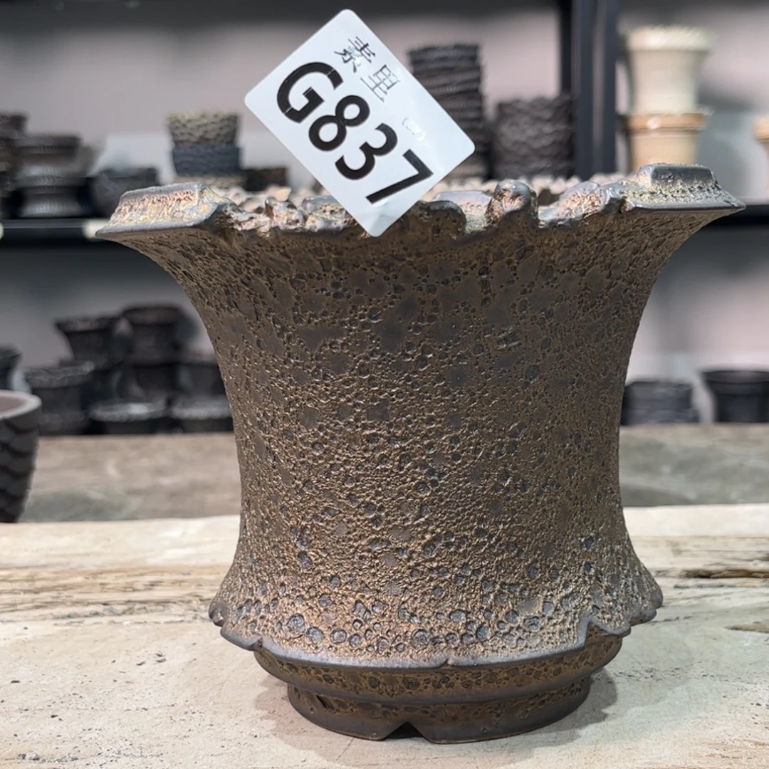 陶内口14.5高13瑕疵