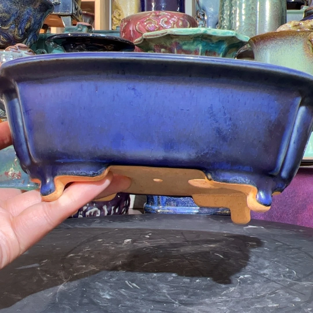 碟卍****卍觉象原创…………