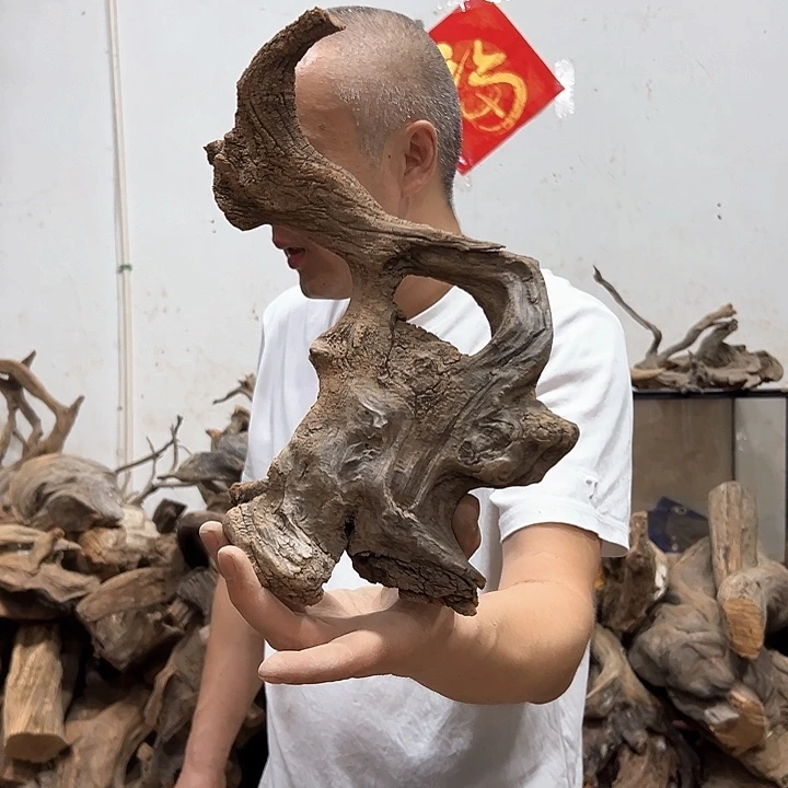 柏木厚****原我们都是好孩子啊我的