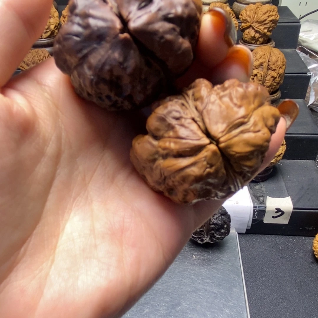 文玩核桃吊坠九五玄包。