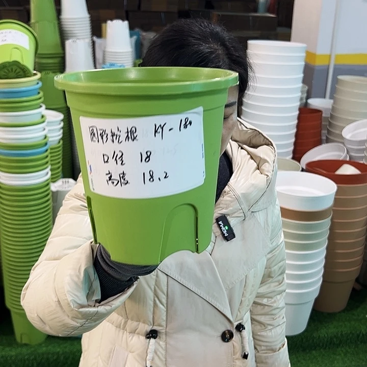 正品圆控口18高18果绿无托8只