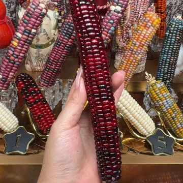 吊坠柏香籽/百香籽