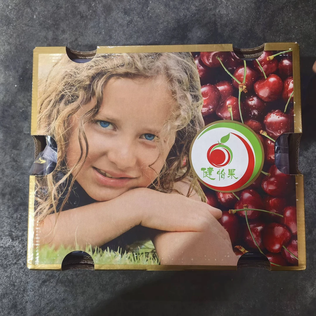 海运车厘子拉宾斯健怡果2JD5斤净果 内附果径卡