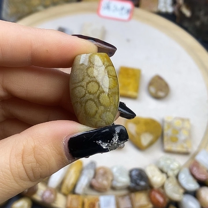硅化玉未镶嵌颈饰
