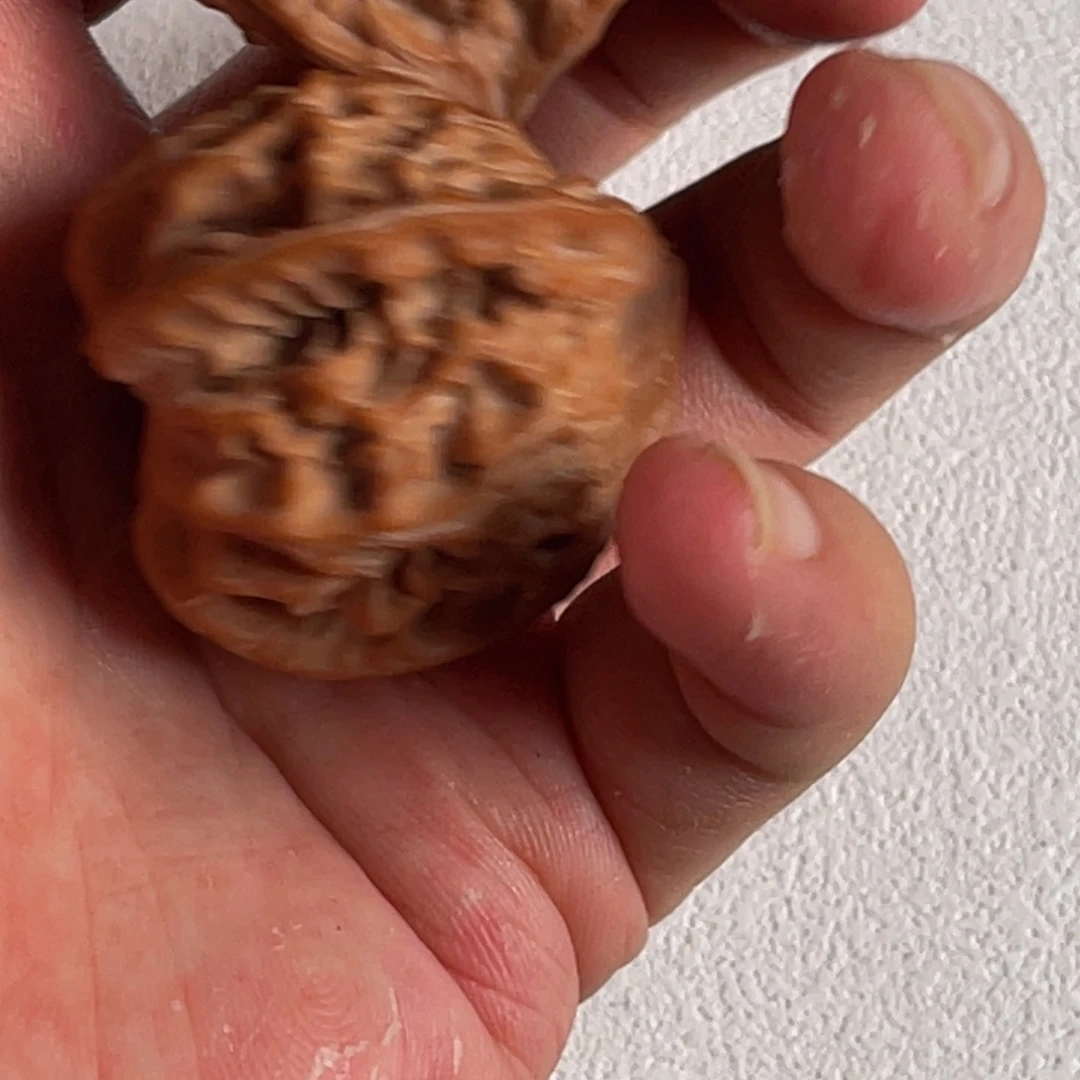 吊坠金刚菩提35号拍品