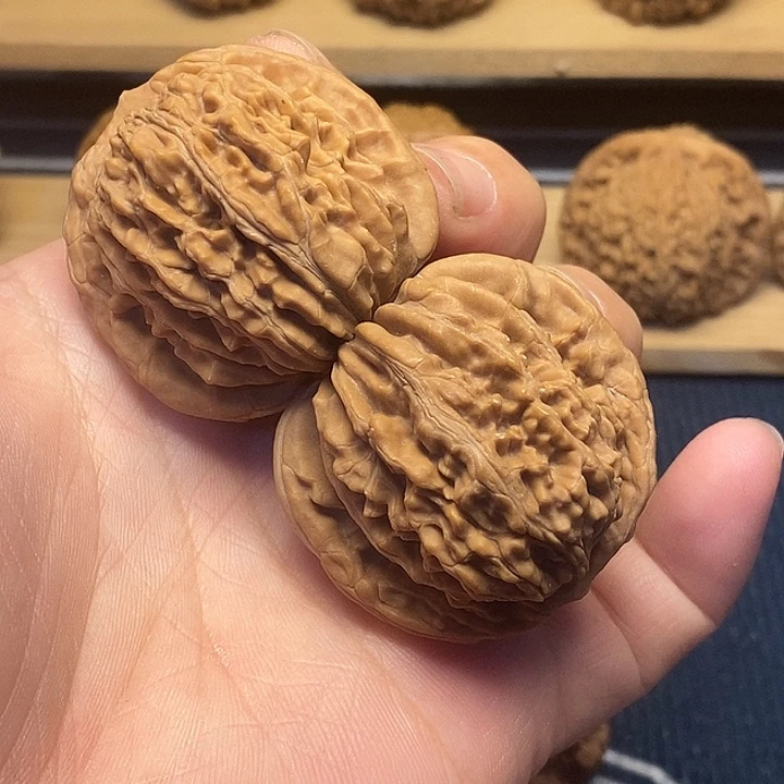 站***桃核桃41全品四座楼福利