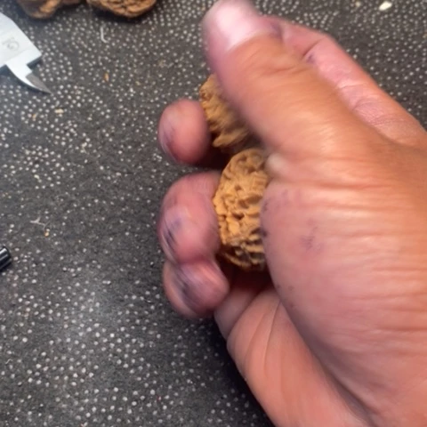 文玩核桃把件苹果9.9