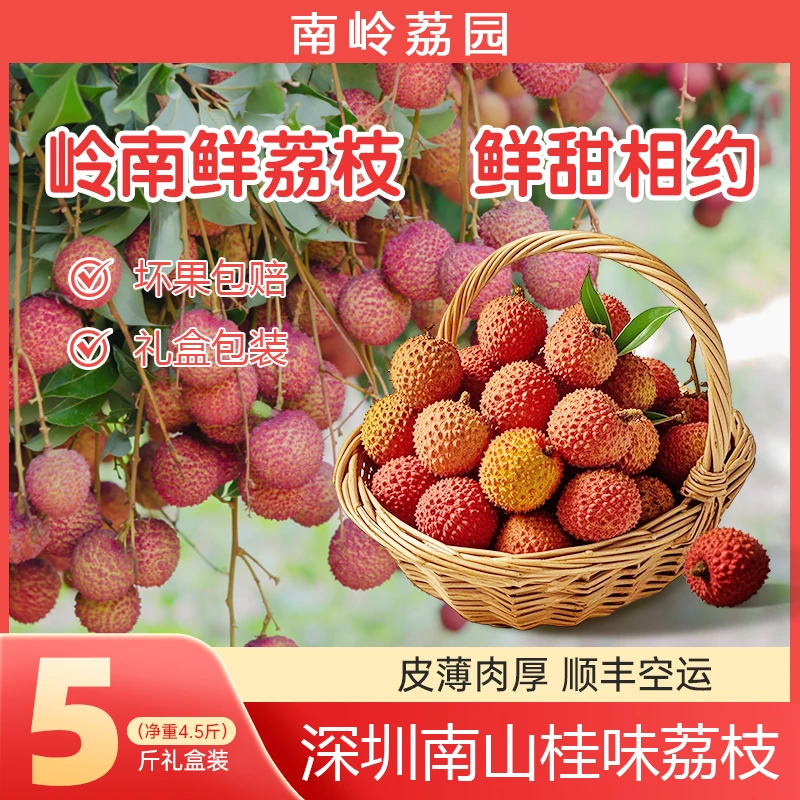 （广东省内链接）深圳南山桂味新鲜水果荔枝顺丰空运冷链包邮次日达